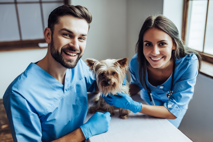 A importância do médico-veterinário